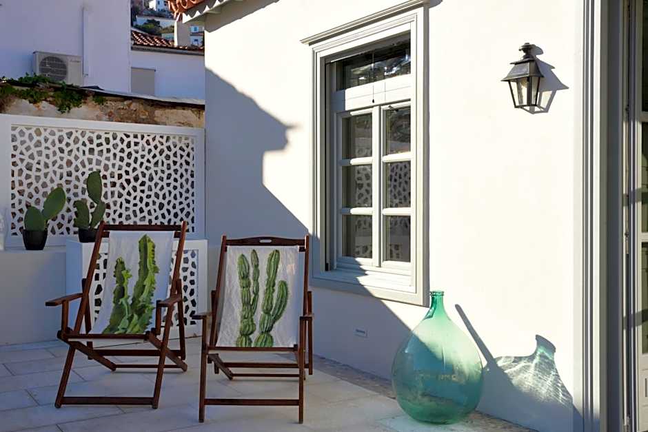 Cactus Hydra - Art Apartments