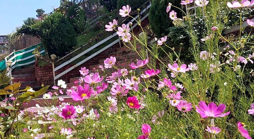 Hotel Victoriya Palace