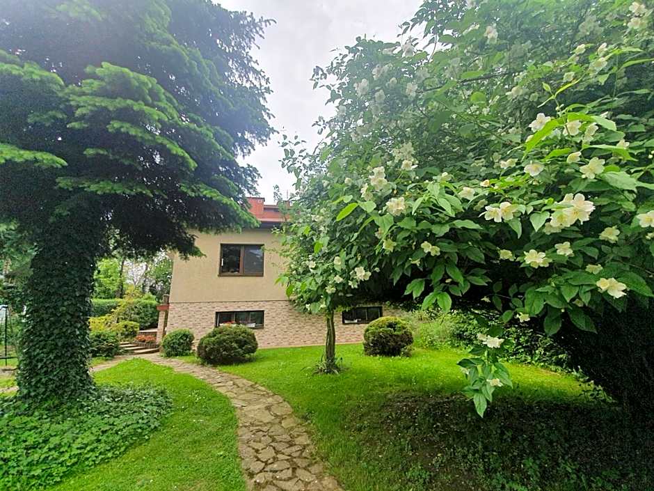 Gospodarstwo Agroturystyczne Borówkowy Bukiet Smaków