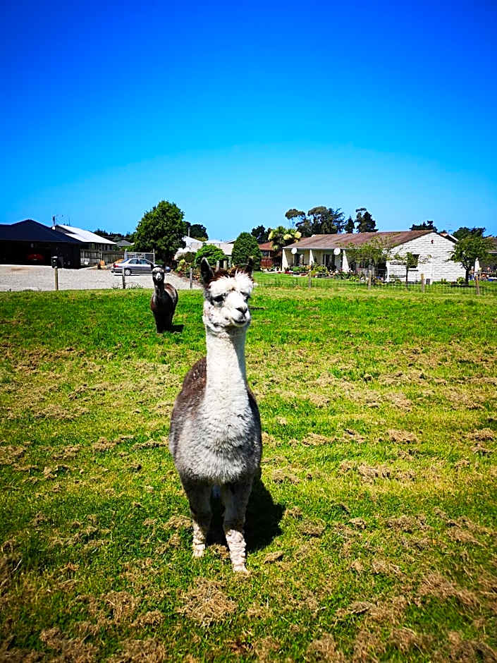 Colonial Lodge Motel
