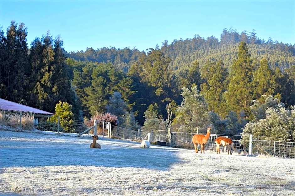 Maydena Mountain Cabins