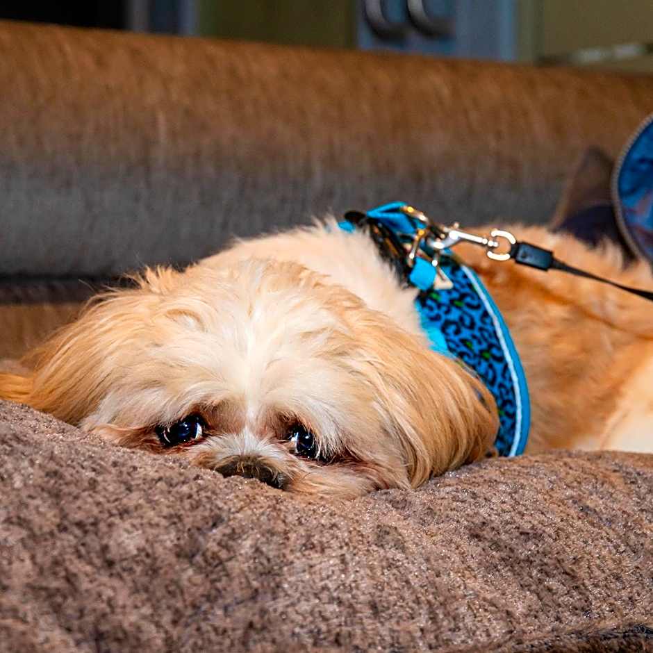 The Enniskillen Hotel and Motel