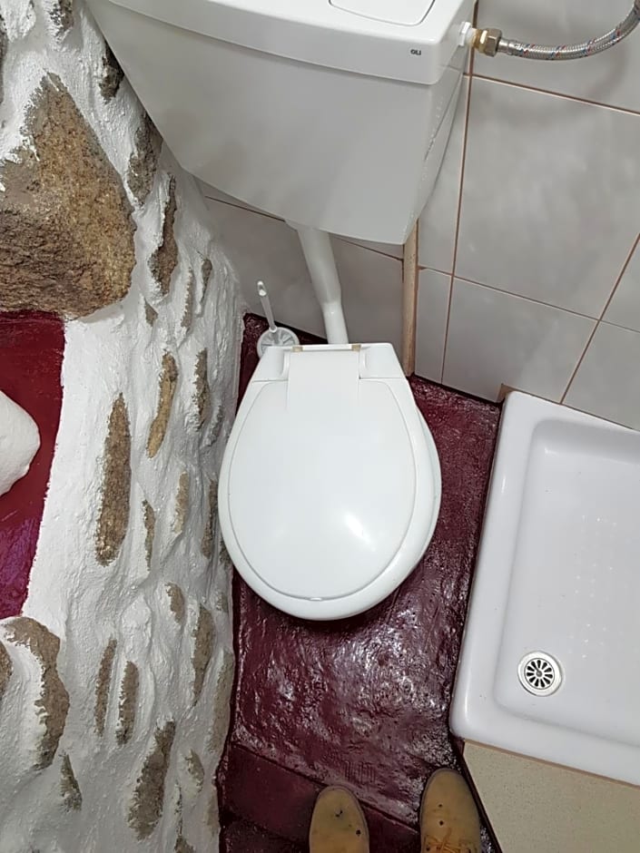 Branca Gonçalves Belmonte