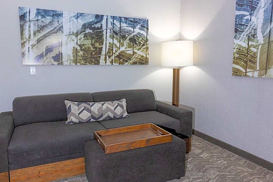 SpringHill Suites by Marriott Slidell