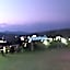 Khao Kho Flora
