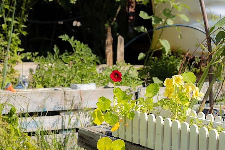 Hostel oder Ferienwohnung 1-16 Personen im BLAUEN HAUS