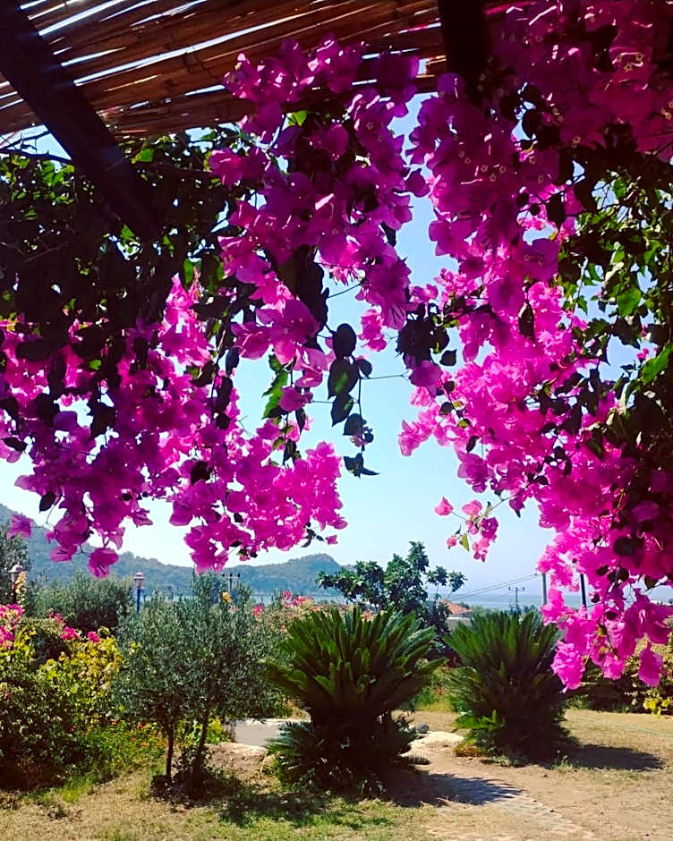 Bahar Bahce Datca