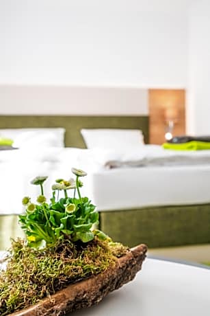 Hotel-Pension Treppengasse Nr 6