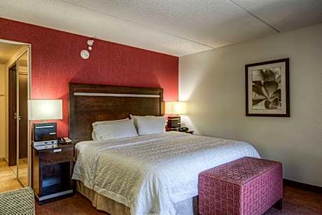 1 King Bed Nonsmoking