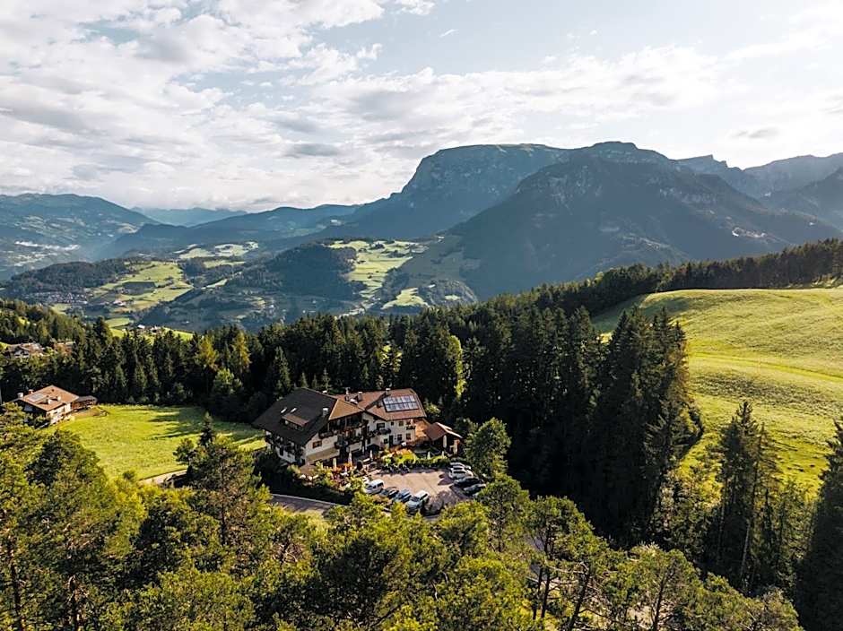 Hotel Wiesl