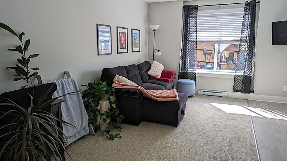 Triangle Mountain Suite