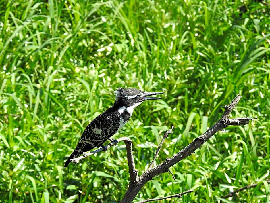 Khululeka Safaris Lodge