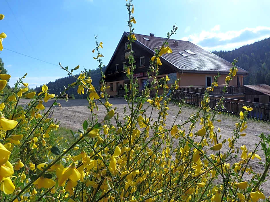 Domaine Des Hauts Viaux