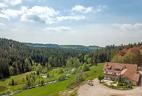 Hôtel Restaurant La Vigotte