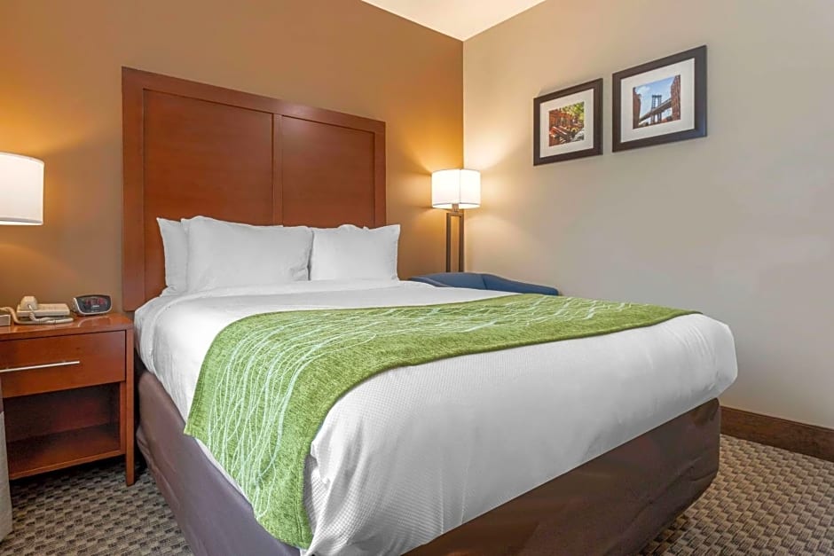 Comfort Inn & Suites near JFK Air Train