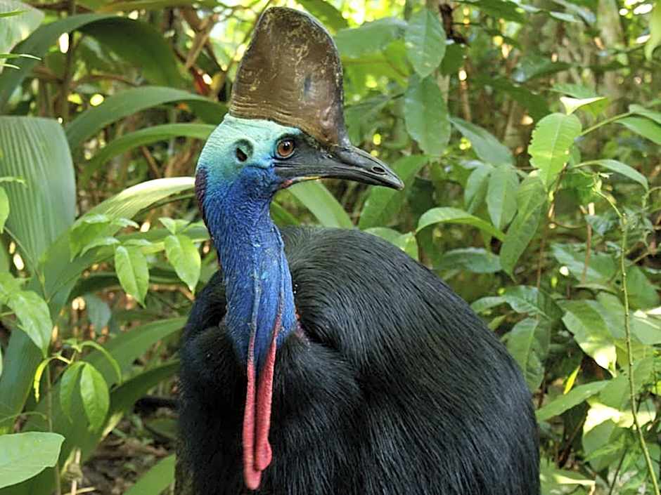 Apollo Jewel Beachfront Apartments