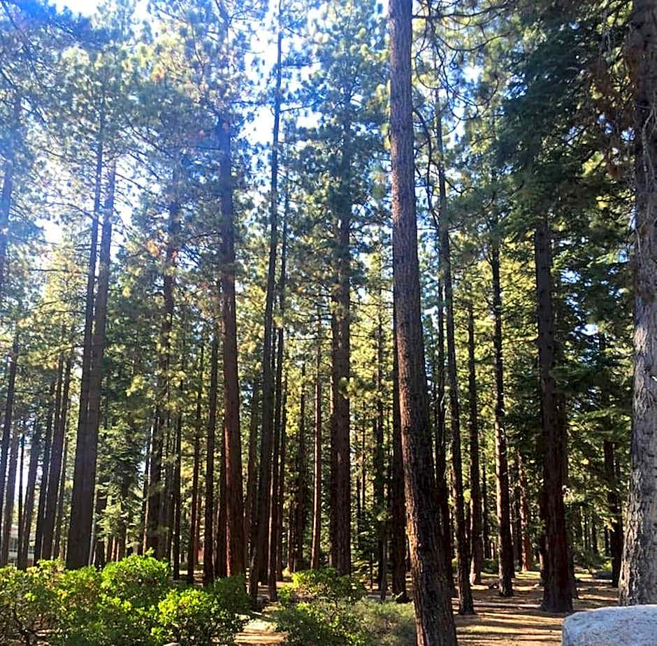 Club Tahoe