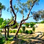 Vilajoun