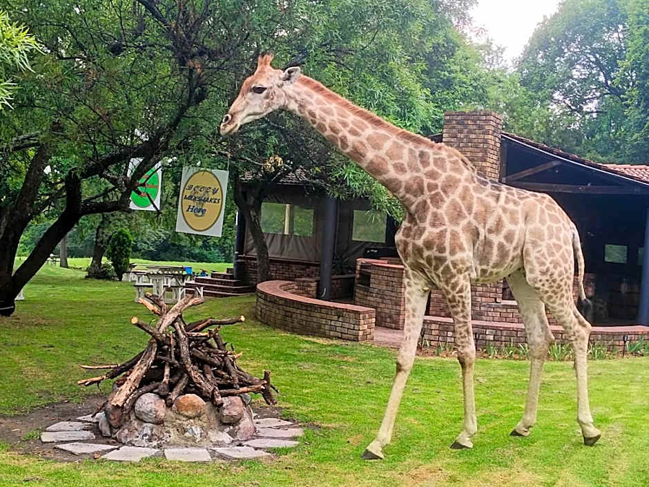 The Venue Country Hotel & Spa