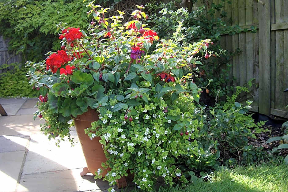 Pinfield Boutique Hotel