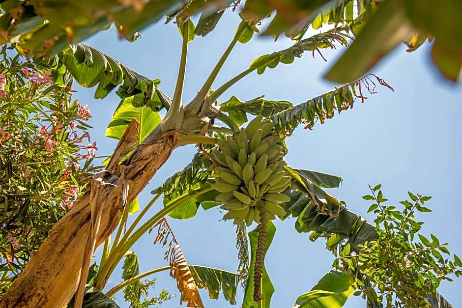 B&B Sa domo de sos Massaios