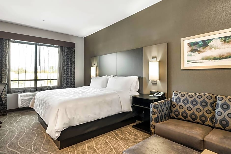 Holiday Inn Hotel & Suites Milpitas