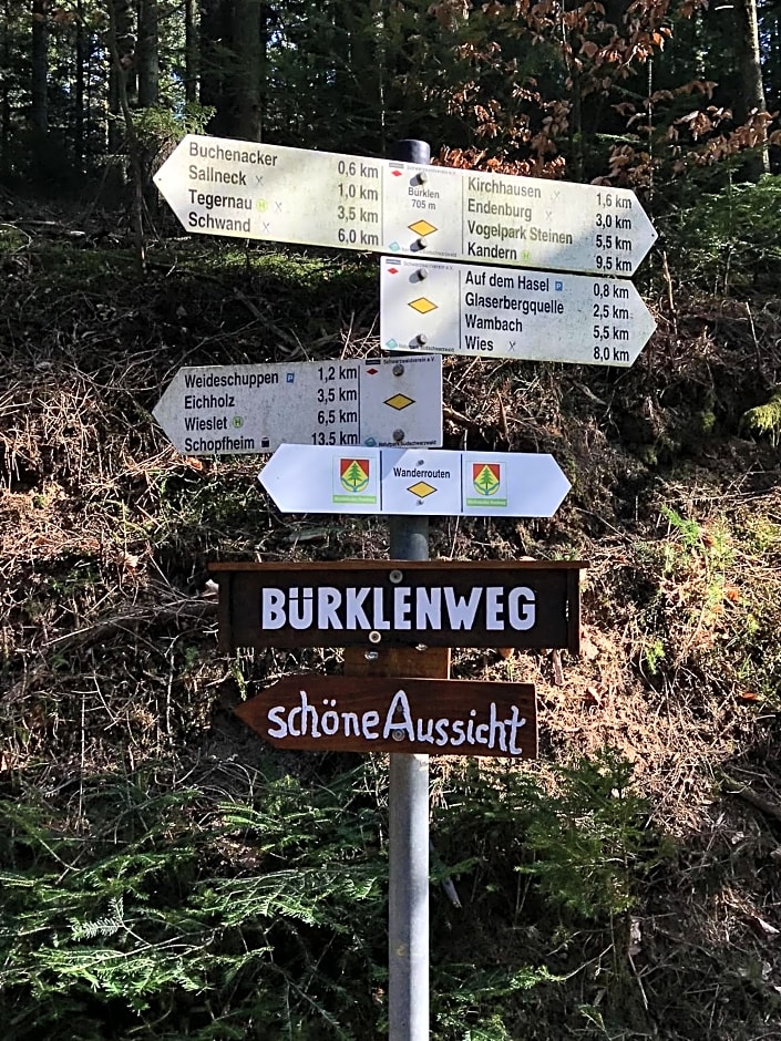 Genusshotel Hirschen - Erholung im Grünen (Südschwarzwald)