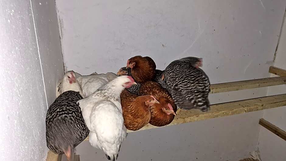 Domaine Le Puits du Moulin