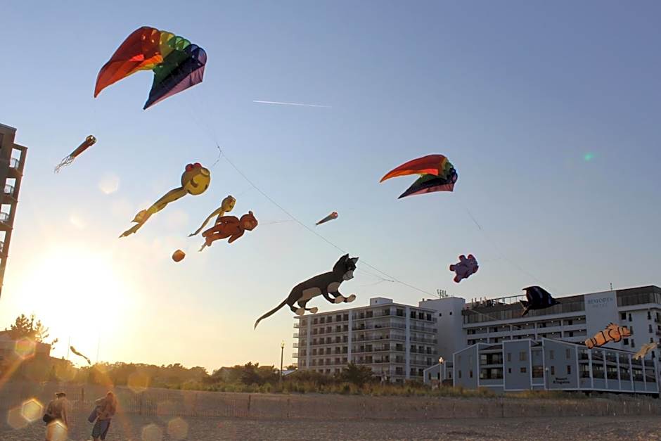 Admiral on Baltimore