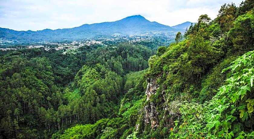 Lotus Bandung Hotel, Cafe, And Meeting Place