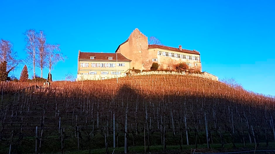 Hotel & Restaurant Schloss Schwandegg