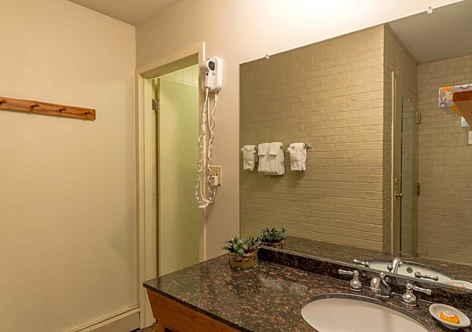 Mountain Chalet Snowmass