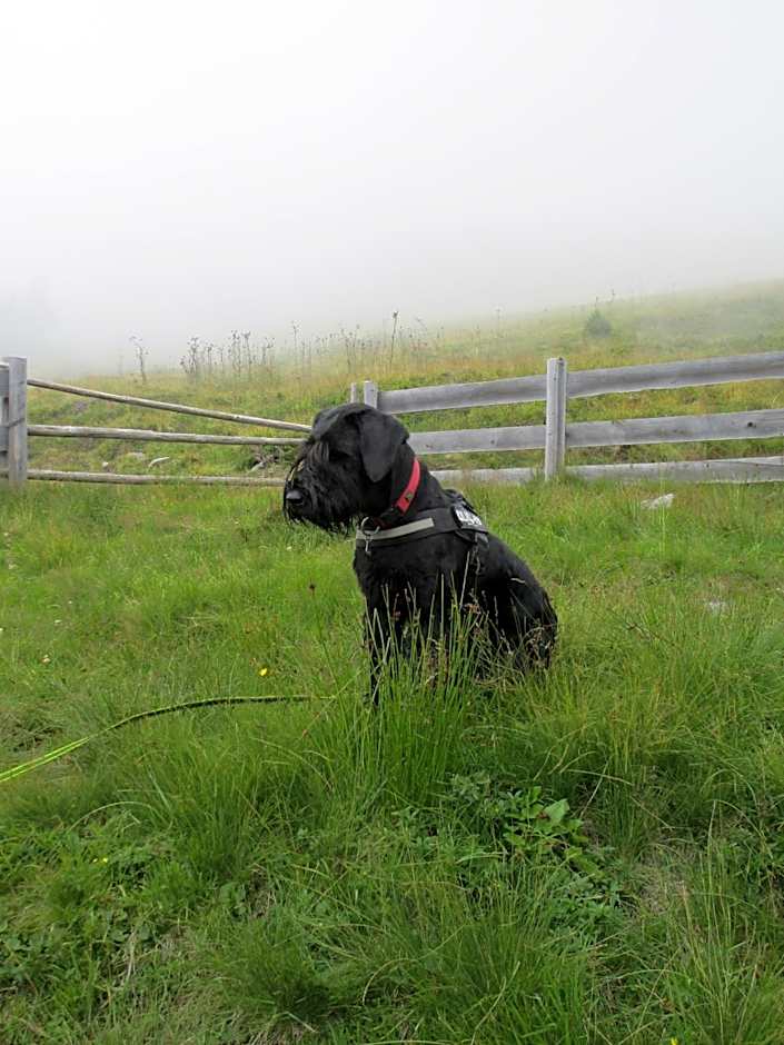 Smaragdhotel Tauernblick