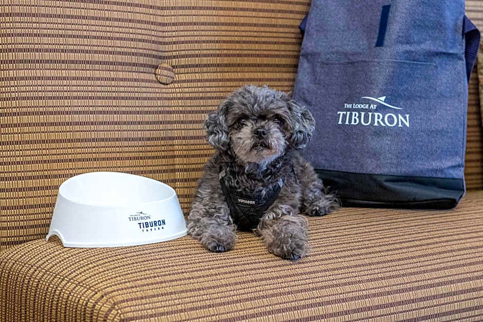 The Lodge At Tiburon