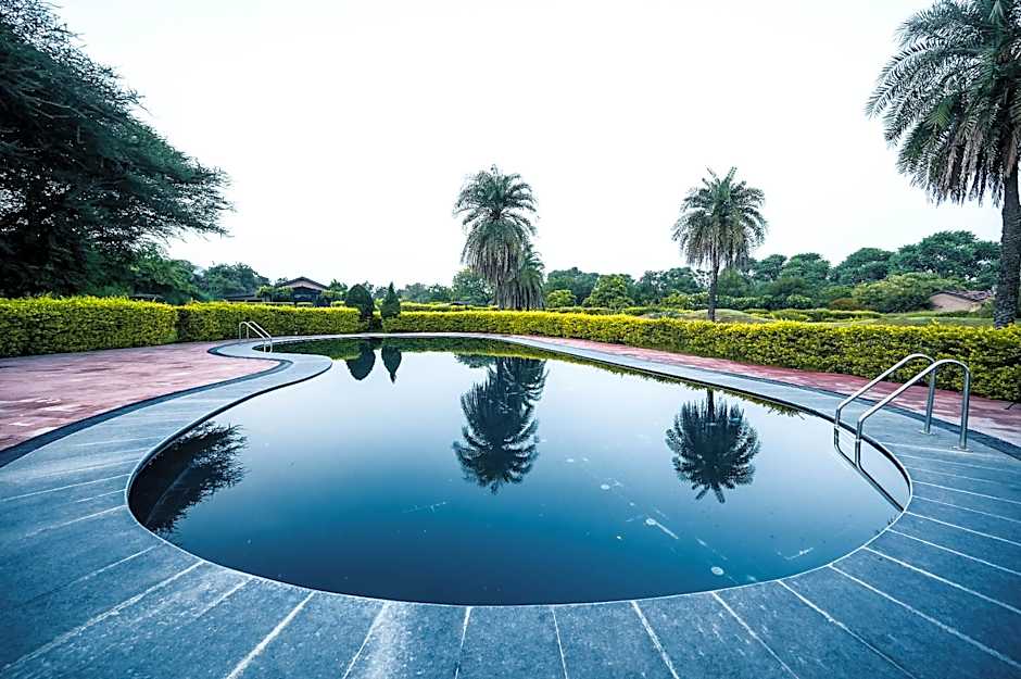 Clarks Safari Pushkar