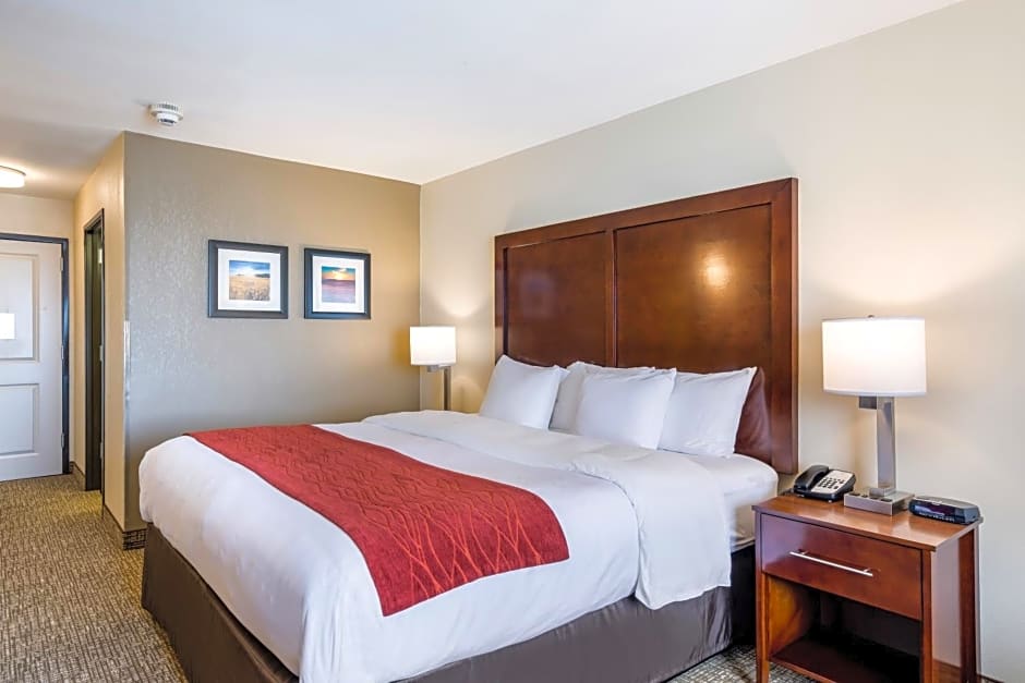 Comfort Inn Bonner Springs Kansas City