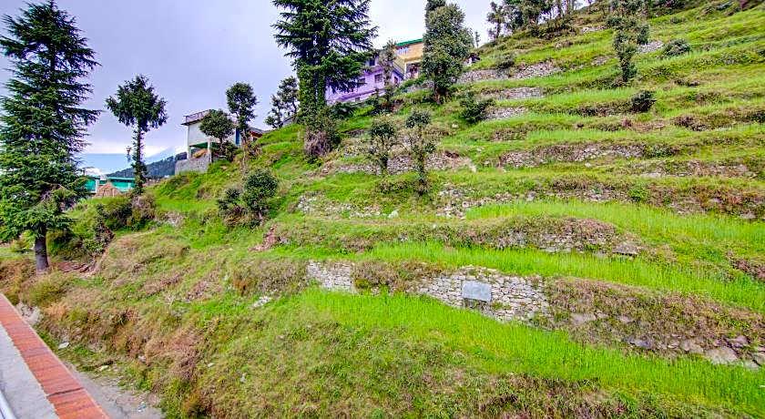 Treebo Down Town, Dalhousie