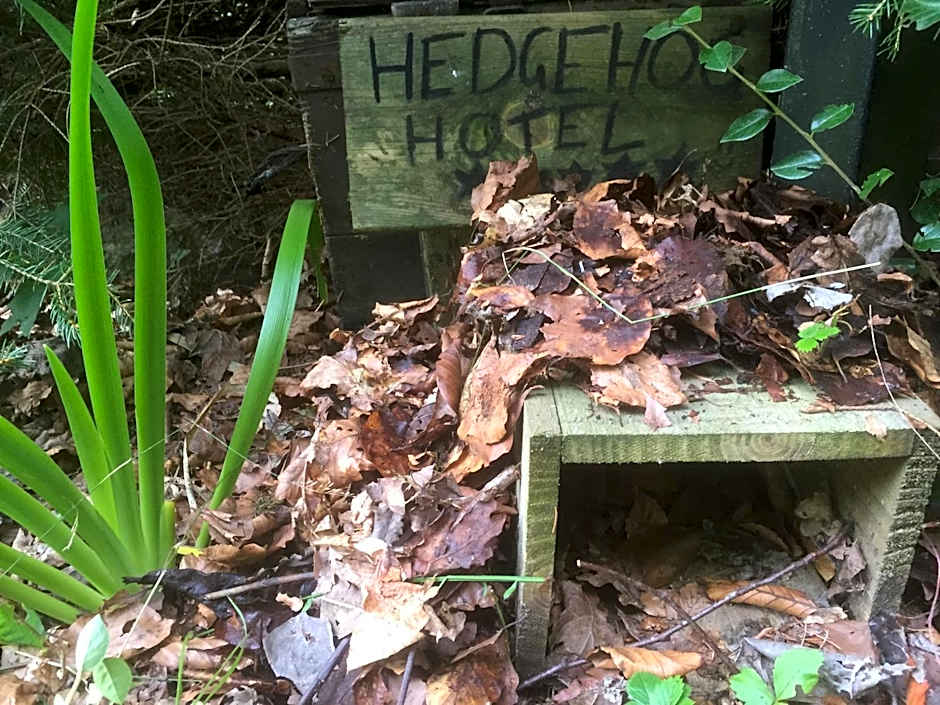 Ericht Holiday Lodges