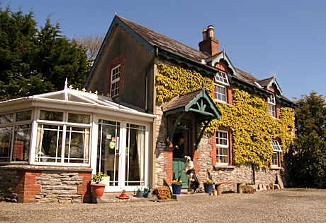 Druid Cottage
