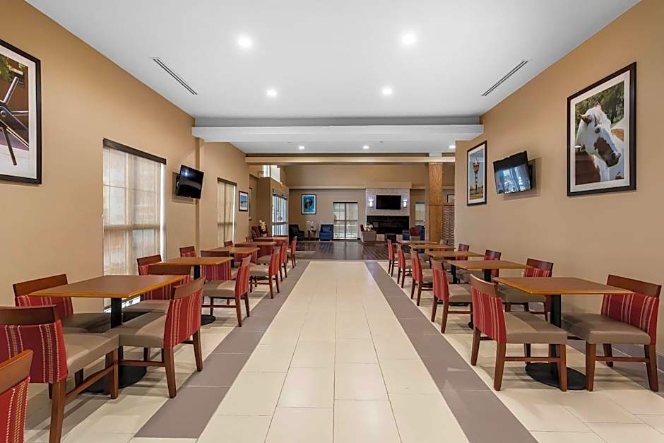 Comfort Suites University