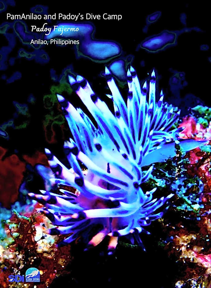 PamAnilao and Padoy's Dive Camp