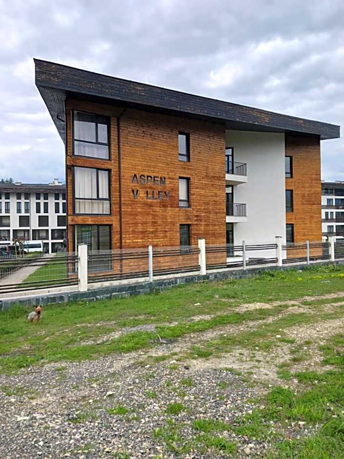 Аспен валей С420