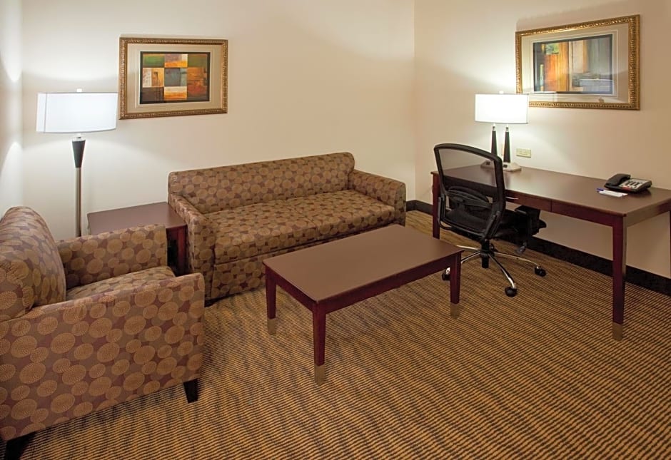 Holiday Inn Express Hotel & Suites Austin South - Buda By IHG