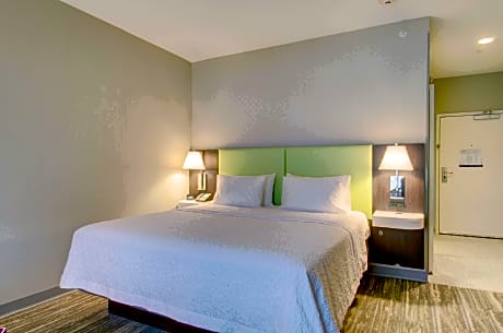 King Room W/ Microwave/Fridge