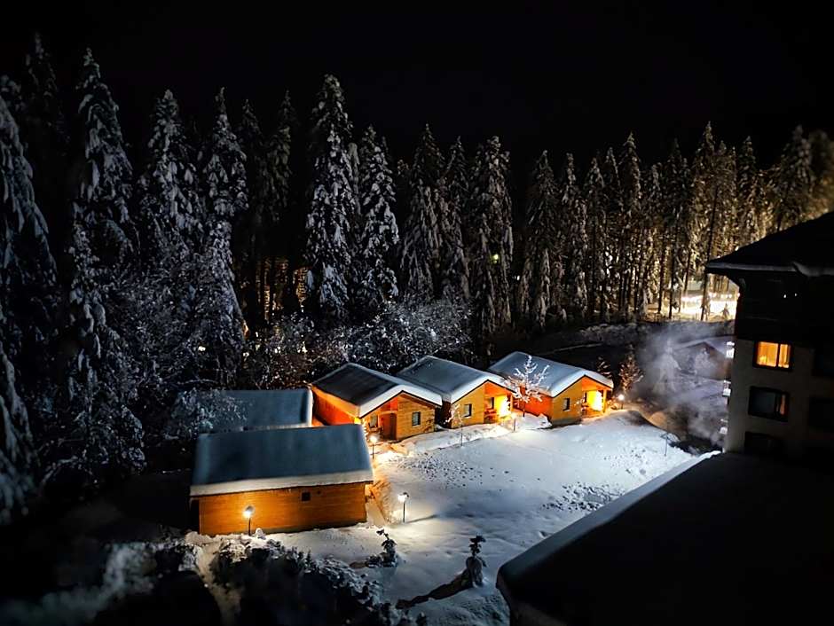 Iglika Hotel & Villas Borovets