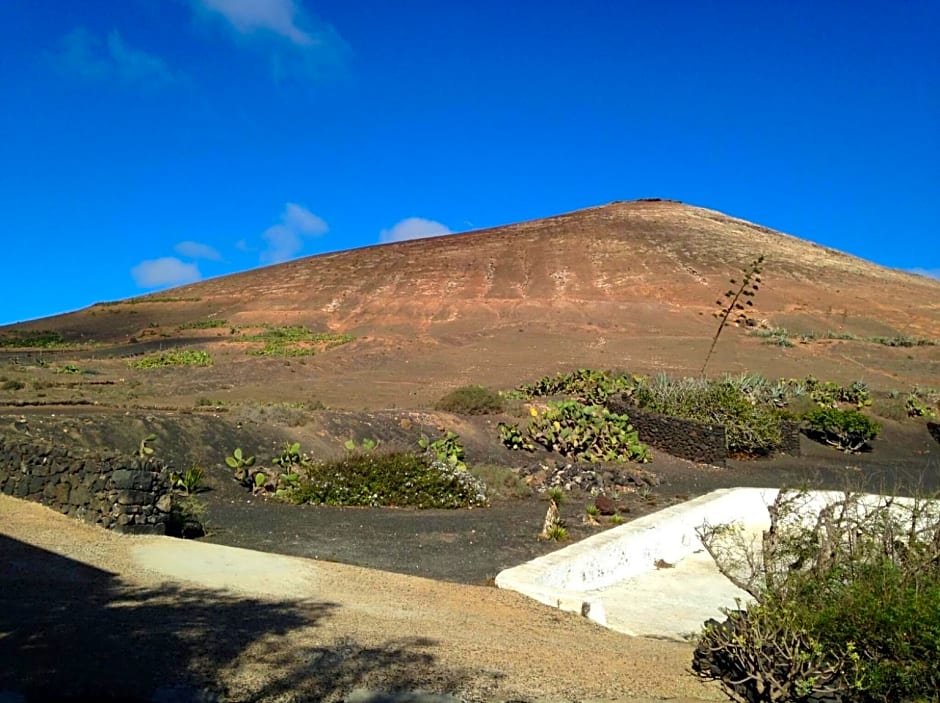 Patio II studio at finca