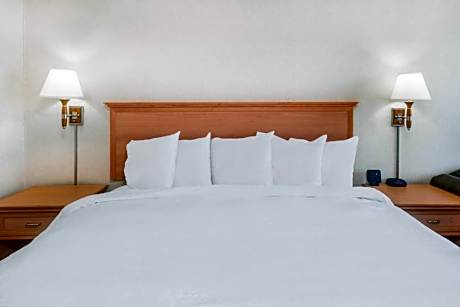 1 King Bed Smoking Room With Free