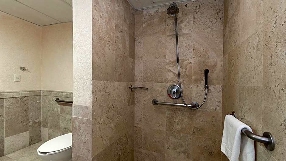Holiday Inn Queretaro-Centro Historico By IHG