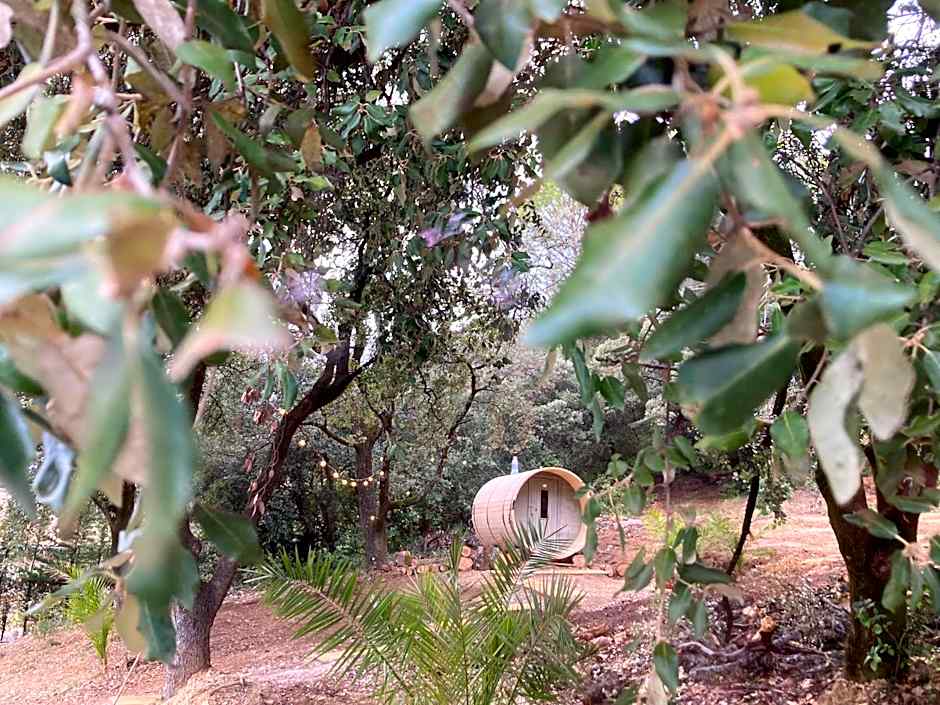 Domaine La Tour - SPA - Jacuzzi - Sauna - Massage - 4 SAISONS - Piscine Chauffée Toute l'année - Heated POOL - 800m City Centre Nyons