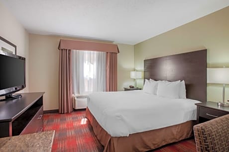 1 King Bed, Non-Smoking, High Speed Internet Access, Mini Suite, Sofabed, Microwave And Refrigerator